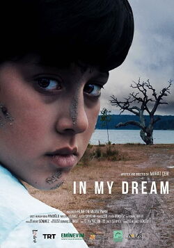 Dans mon rêve (2020)