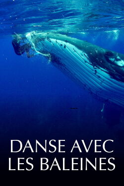 Danse avec les baleines (2022)