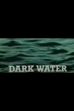 Dark Water (1980)