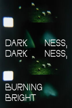 Darkness, Darkness, Burning Bright (2022)