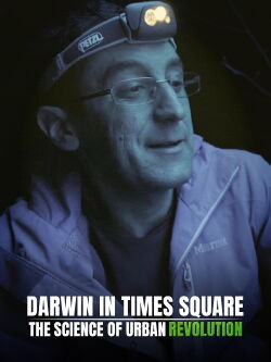 Darwin in Times Square: The Science of Urban Evolution (2020)