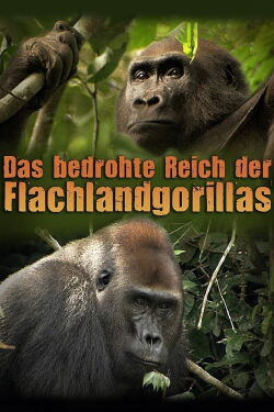 Das bedrohte Reich der Flachlandgorillas (2007)