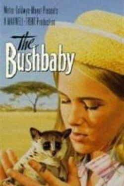 Das Buschbaby (1969)
