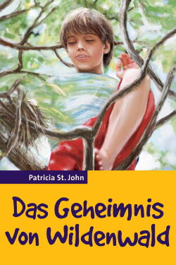 Das Geheimnis vom Wildenwald (1980)