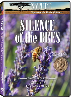 Das Schweigen der Bienen (2008)