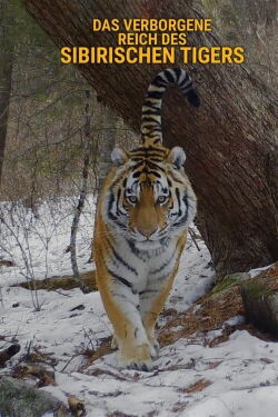 Das verborgene Reich des Sibirischen Tigers (2023)