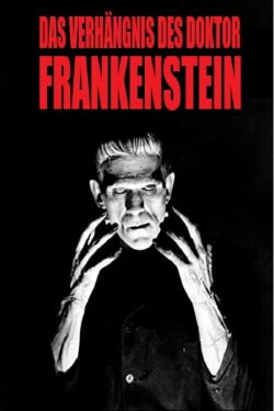Das Verhängnis des Doktor Frankenstein (2018)