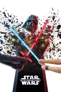Das Vermächtnis der Skywalker (2020)