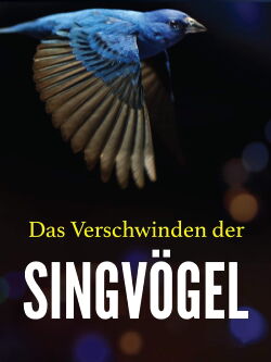 Das Verschwinden der Singvögel (2015)
