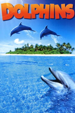 Dauphins (2000)