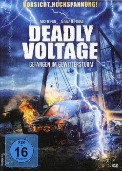 Deadly Voltage - Gefangen im Gewittersturm (2016)