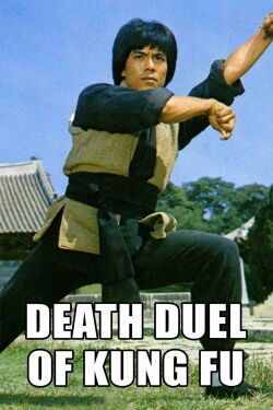 Death Duel of Kung Fu (1979)