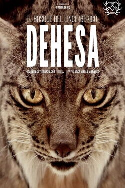 Dehesa: The Forest of the Iberian Lynx (2020)