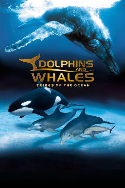 Delfines y ballenas - Tribus del océano (2008)