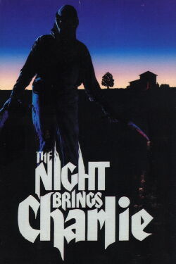 Denn nachts kommt Charlie (1990)