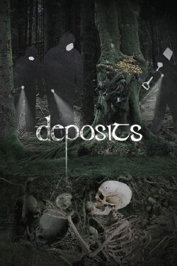 Deposits (2017)