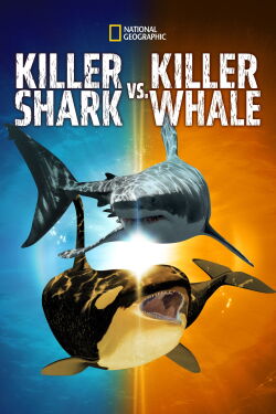 Depredadores del océano: Tiburón vs. Orca (2021)