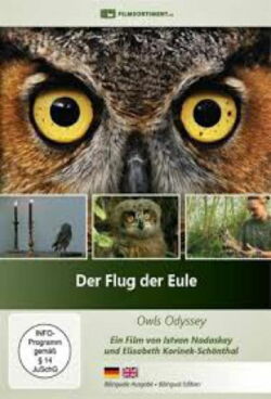 Der Flug der Eule (2013)