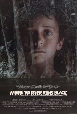 Der Junge vom schwarzen Fluss (1986)