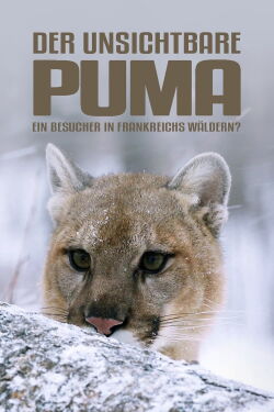 Der unsichtbare Puma - Ein Besucher in Frankreichs Wäldern? (2019)