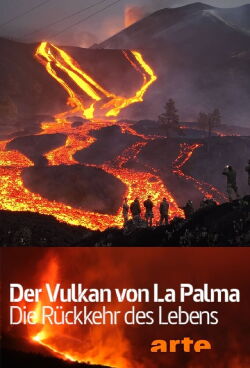 Der Vulkan von La Palma - Die Rückkehr des Lebens (2022)