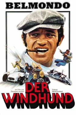 Der Windhund (1979)