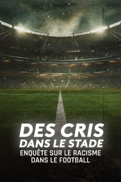 Des cris dans le stade, enquête sur le racisme dans le football (2024)