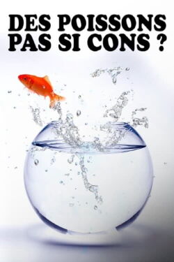 Des poissons, pas si cons ? (2022)
