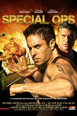 Desarmado (2010)