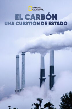 Desde las cenizas (2017)