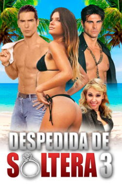Despedida de soltera 3 (2020)