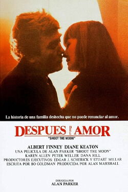 Después del amor (1982)