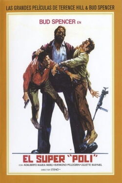 Detective Pies planos (1973)