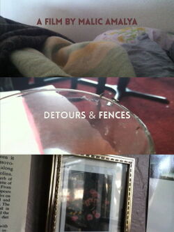 Detours and Fences (2012)