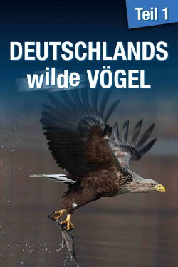 Deutschlands wilde Vögel - Teil 1 (2013)