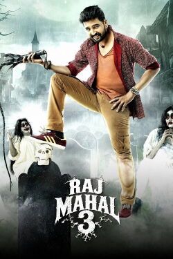 Dhilluku Dhuddu (2016)