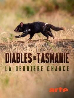 Diables de Tasmanie, la dernière chance (2023)