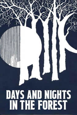 Días y noches en el bosque (1970)
