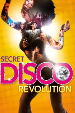 Die geheime Disco-Revolution (2012)