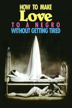 Die Kunst einen Neger zu lieben, ohne müde zu werden (1989)