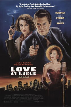 Die Liebe eines Detektivs (1990)