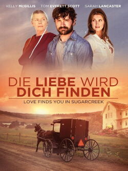 Die Liebe wird Dich finden (2014)
