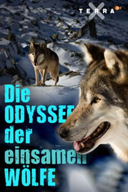 Die Odyssee der einsamen Wölfe (2016)