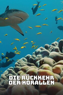Die Rückkehr der Korallen (2024)