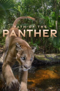 Die Rückkehr des Pumas (2022)