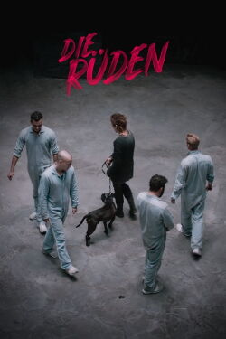 Die Rüden (2020)