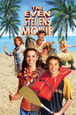 Die Stevens schlagen zurück (2003)