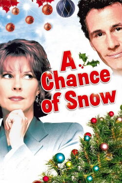 Die Weihnachtsliebe (1998)