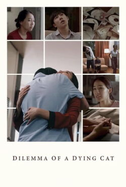 Dilemma Of A Dying Cat (2018)