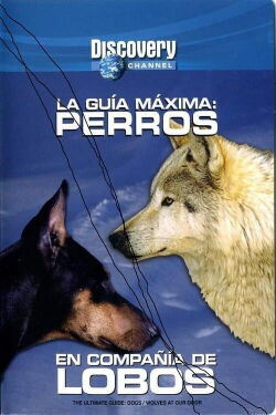 Discovery Channel - La Guia Maxima - Perros En Compañia De Lobos (1997)